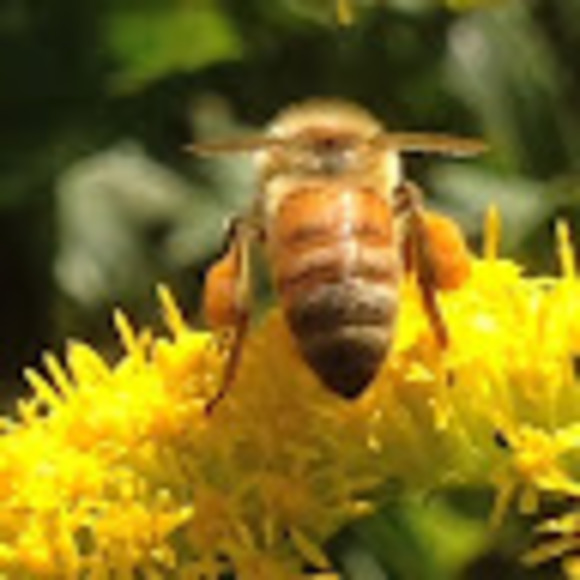 Meet your Posher, Jason - Picture 1 of 1